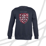Kid's hoodie big logo CF 